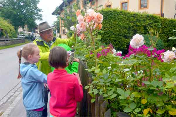 Edelreiser werden im Dorf gesammelt.