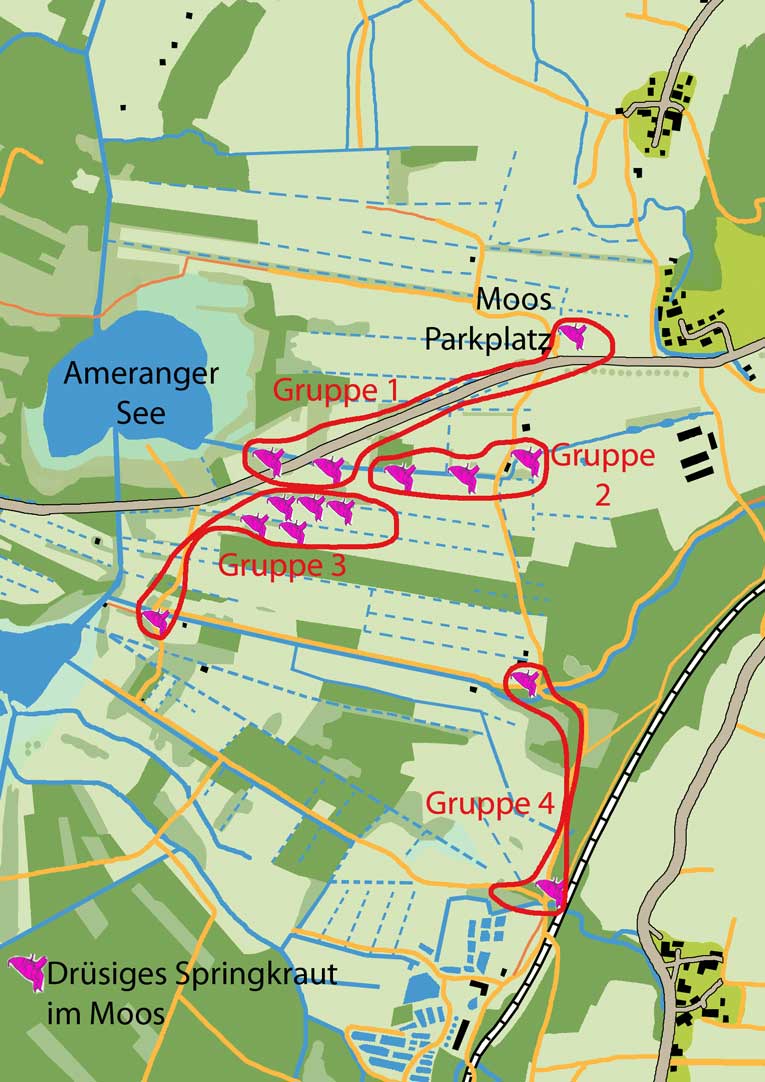 Verbreitung im Arbeitsgebiet.