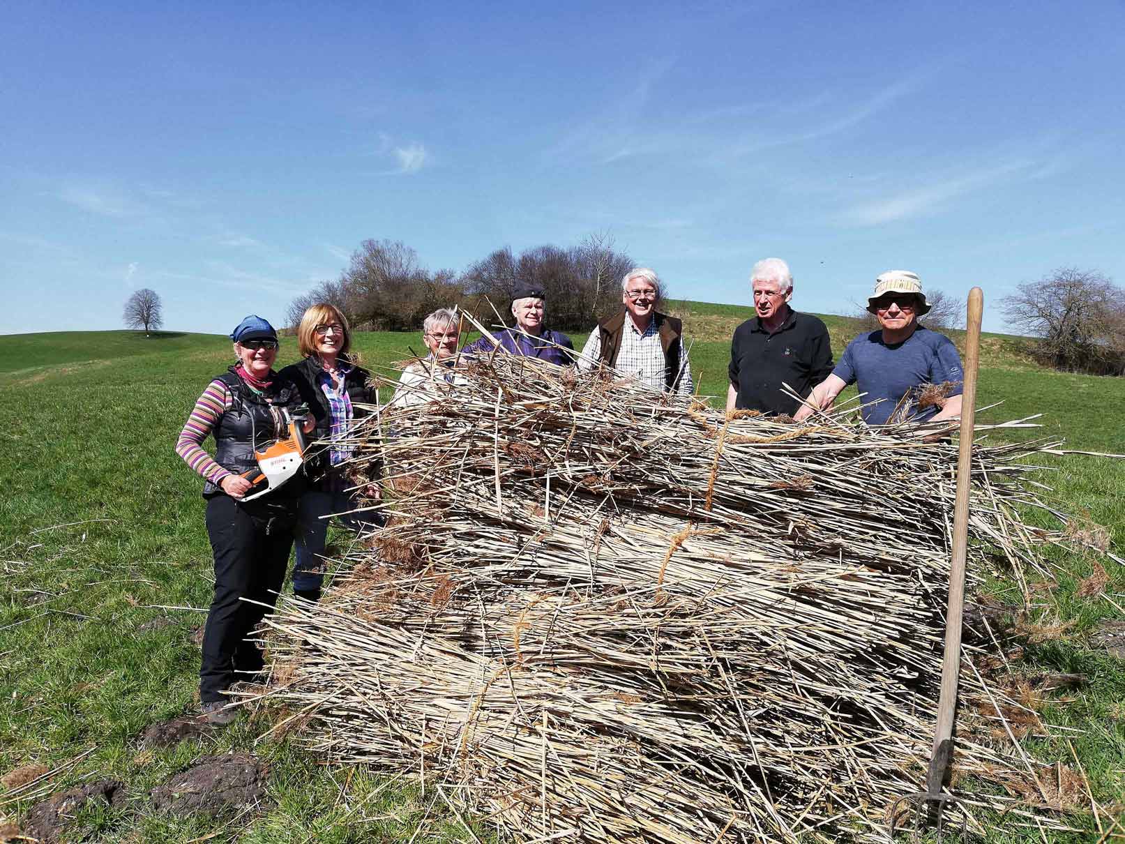 Am Rande eines verlandeten Sees wurde Schilf geerntet.