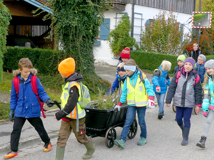Die Klasse zieht mit Rosen und Ger&auml;t zu den neuen Beeten.